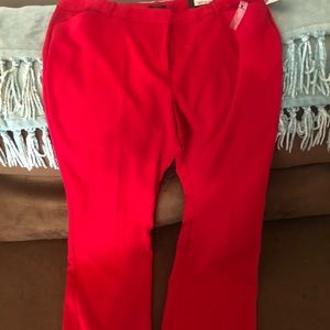 Worthington Modern Fit -Red